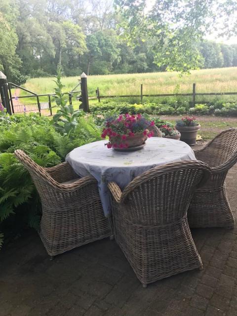 Erve Nijkamp Villa Tubbergen Bagian luar foto