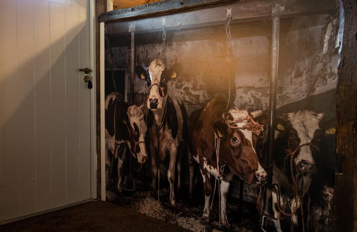 Erve Nijkamp Villa Tubbergen Bagian luar foto
